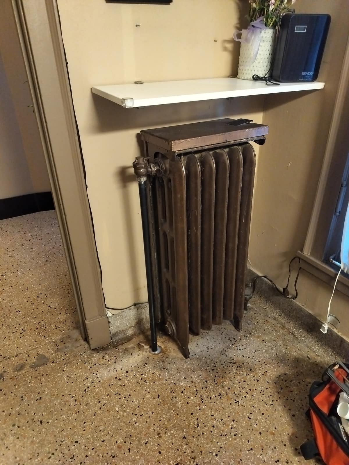 Hydronic boiler and zone-control piping installed by American Mechanical Works